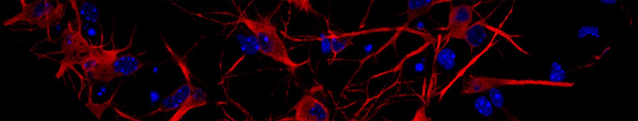 Dpto. Bioquímica y Biología Molecular