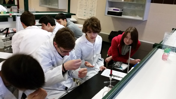 3ª Edición de las Prácticas de Bioquímica en la E.S.O.