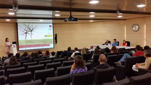 Tesis Doctoral de Irene López Fabuel