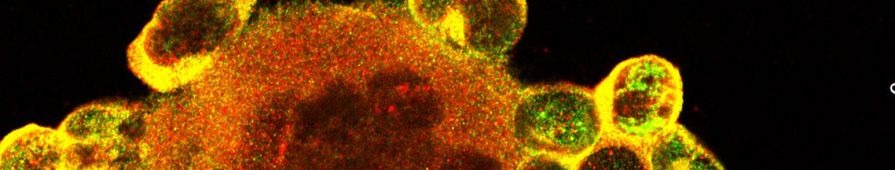 Dpto. Bioquímica y Biología Molecular